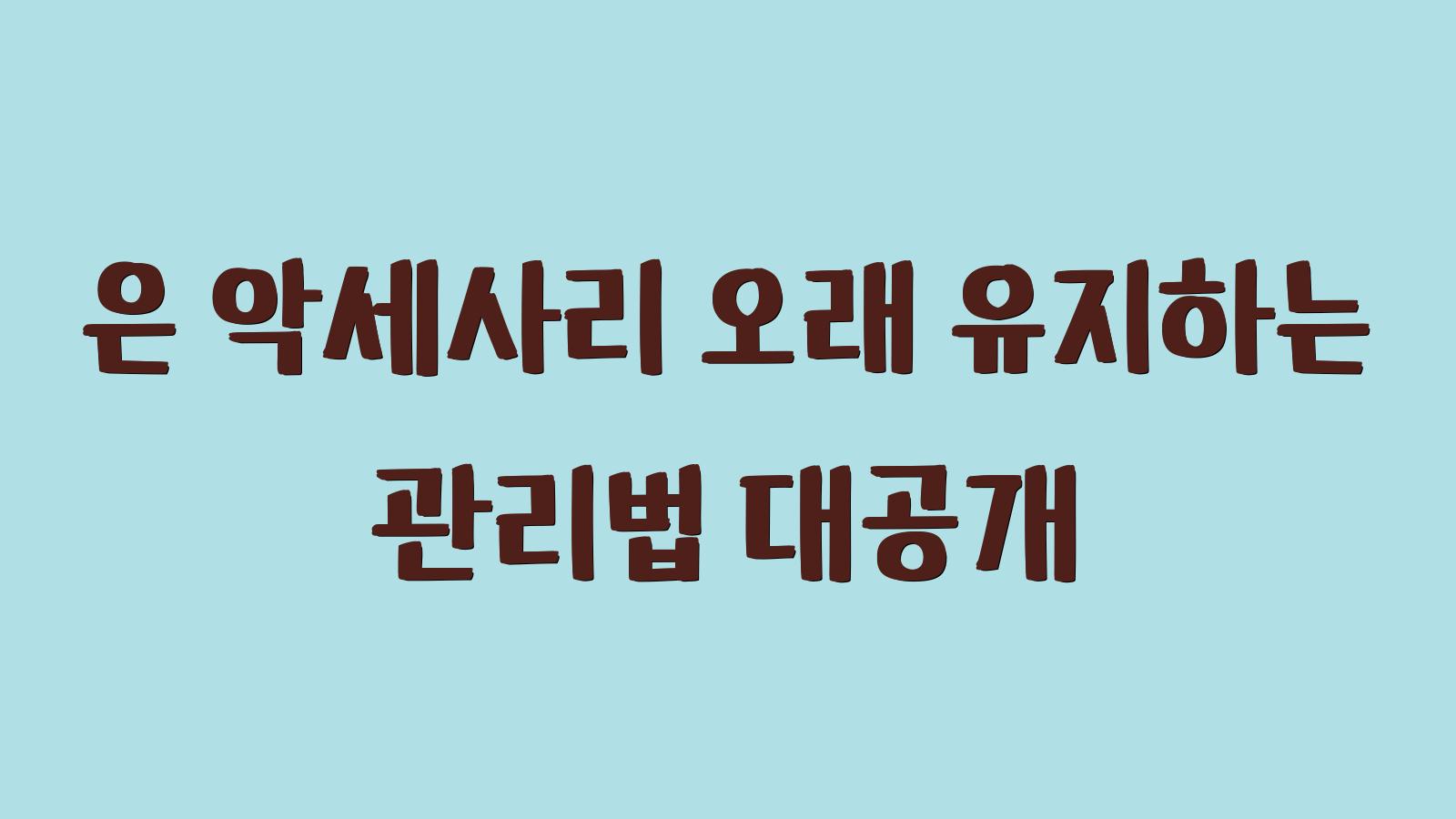 은 악세사리 관리법